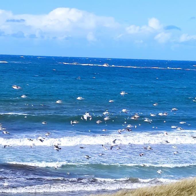 Gite Kerbourc'H Charmant Et Confortable, Mer Et Plages A 3Km, Ploudalmézeau 外观 照片